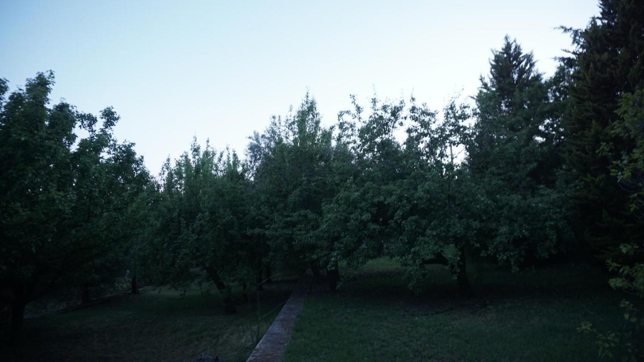 Kavet Palio Cottage Palaiontsiflikion Bagian luar foto