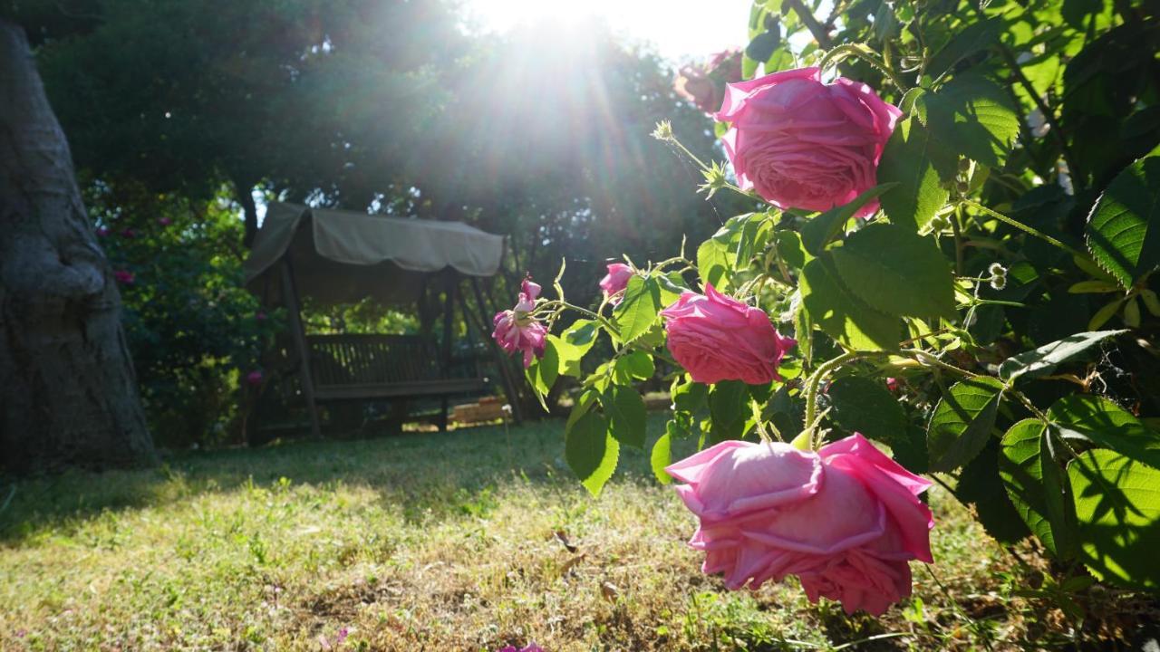 Kavet Palio Cottage Palaiontsiflikion Bagian luar foto