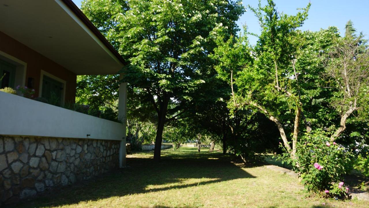 Kavet Palio Cottage Palaiontsiflikion Bagian luar foto