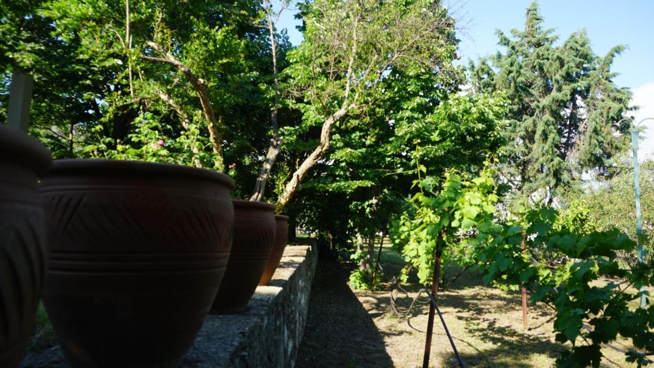Kavet Palio Cottage Palaiontsiflikion Bagian luar foto